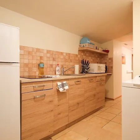 Vilandes Iela 2 Apartment Riga